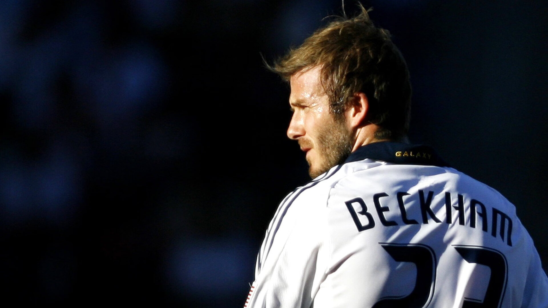 巴黎奥运场馆设计体现开放共享理念，巴黎奥运会主会场设计图